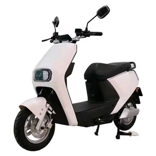 Scooter elektrik pou granmoun lou 300 liv